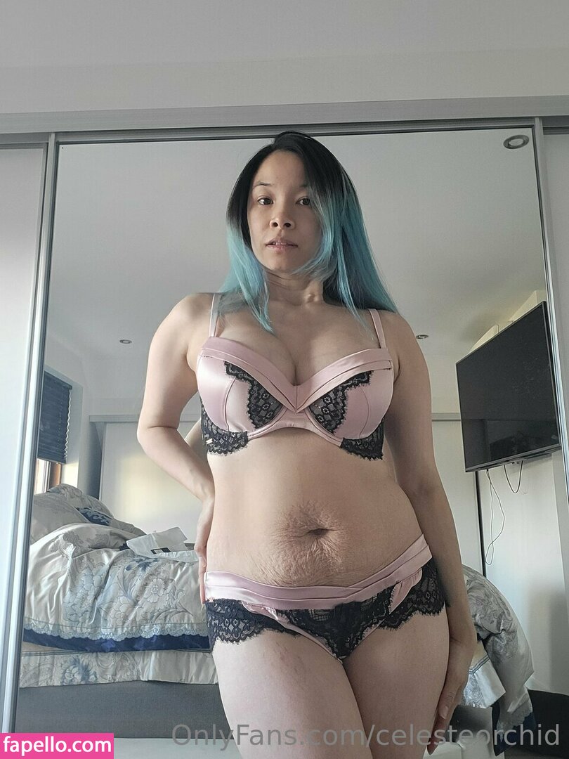 Celeste Orchid Celesteorchid Xocelesteorchid Nude Leaked Onlyfans