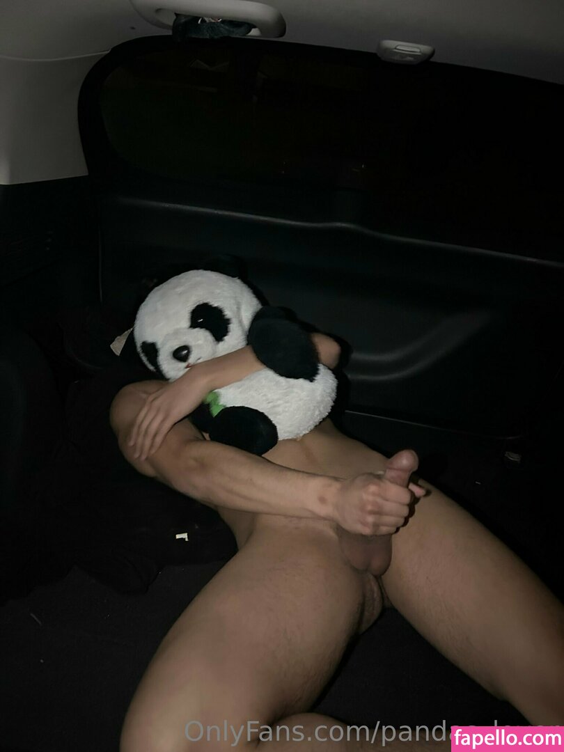 Pandas Lover Nude Leaked OnlyFans Photo 63 Fapello