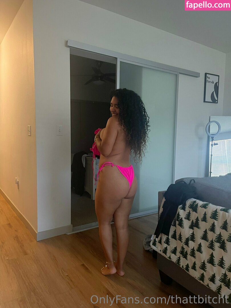 Thatt Bitch Thattbitcht Nude Leaked OnlyFans Photo 18 Fapello