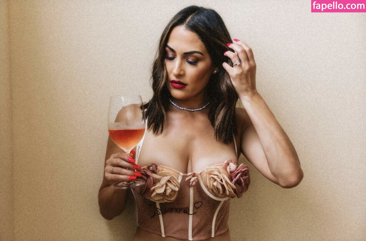 Nikki Bella Brie Bella The Bella Twins Thenikkibella Nude Leaked