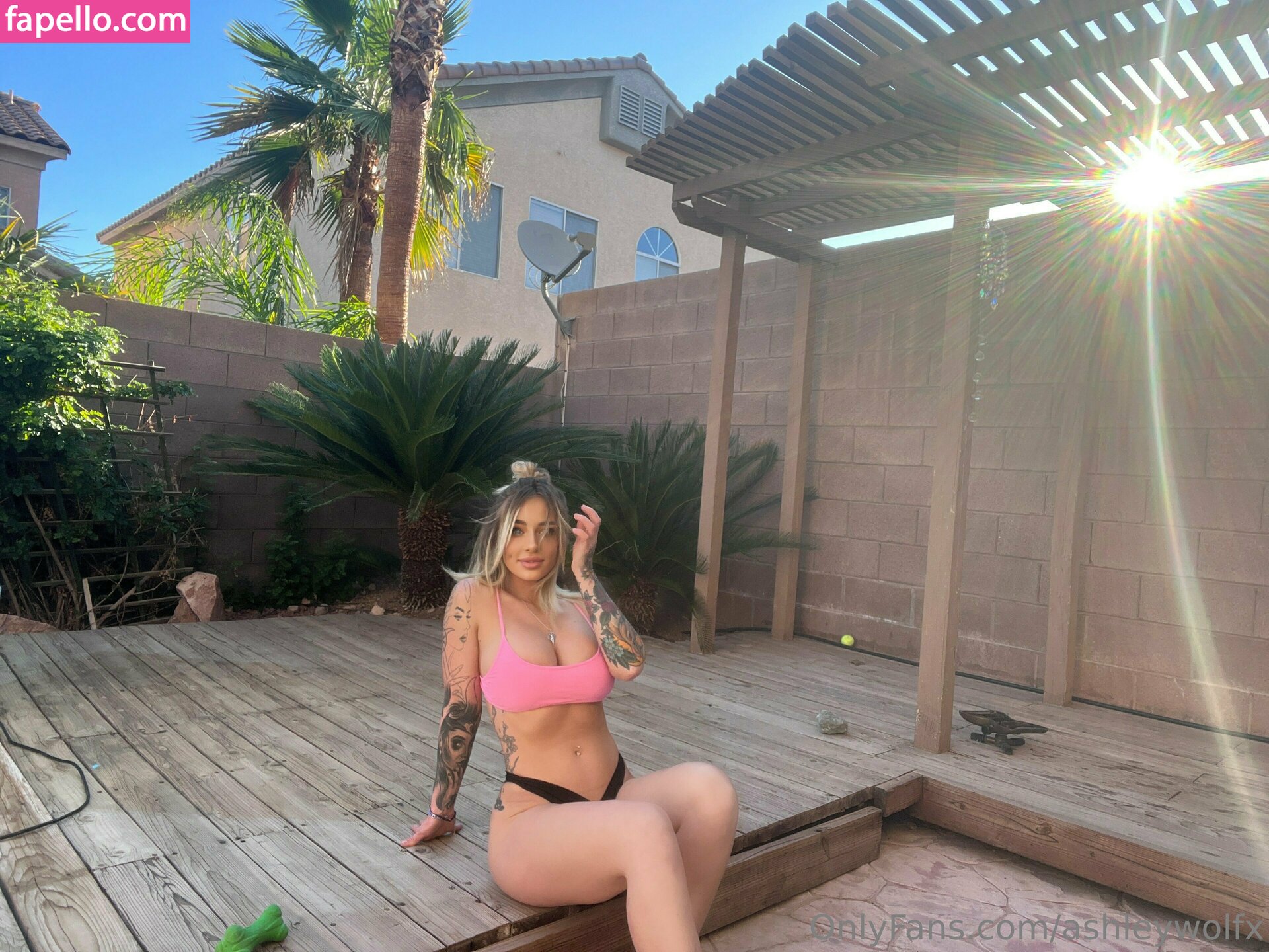 ashleywolfx leaked nude photo #0157 (ashleywolfx / ashleywolfxo)