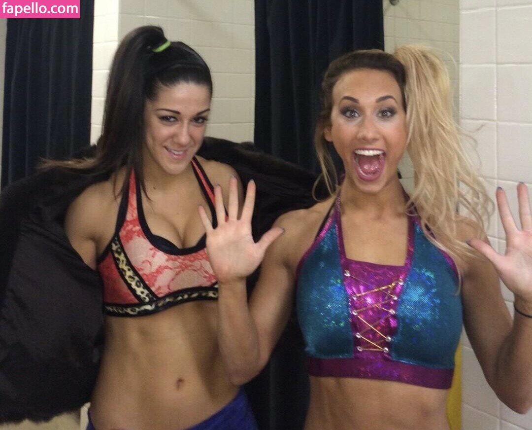 Bayley leaked nude photo #0139 (Bayley / Pamela Rose Martinez / bayley.r / itsmebayley)