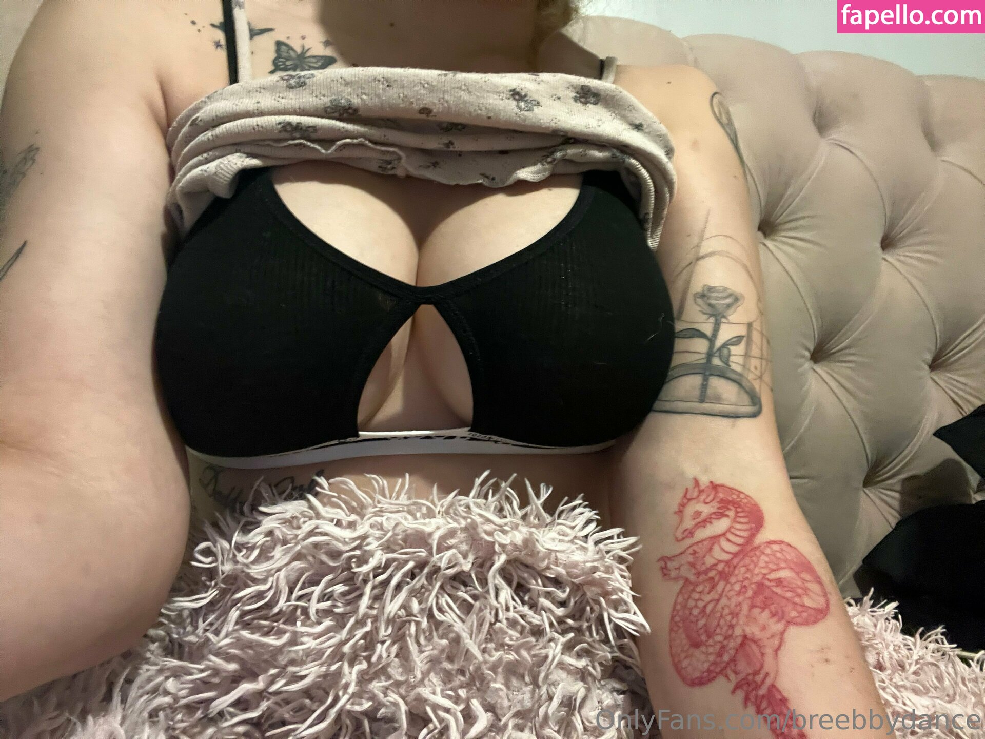 breebbydance leaked nude photo #0103 (breebbydance)