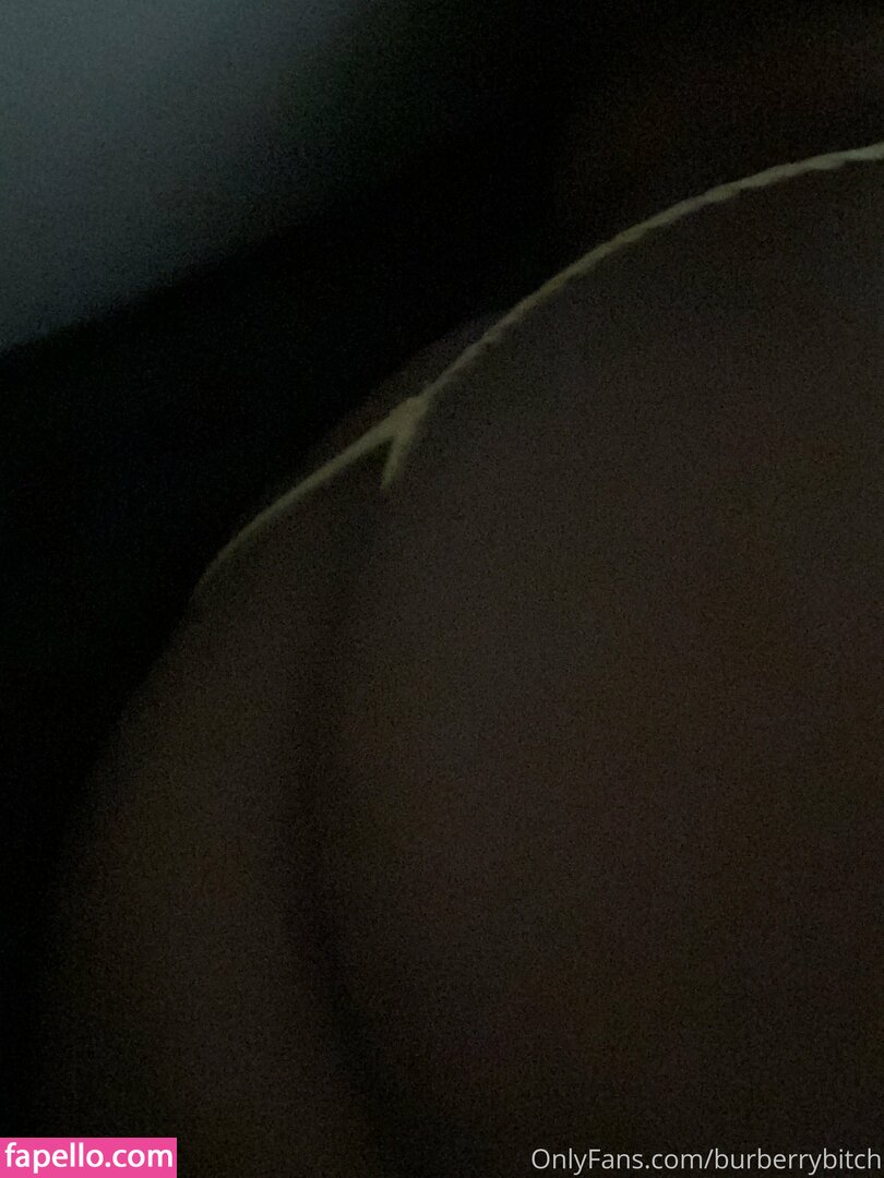 burberrybitch leaked nude photo #0013 (burberrybitch)