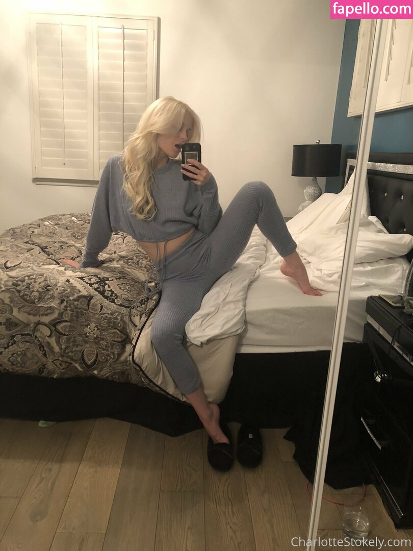 char_stokely leaked nude photo #0056 (char_stokely)