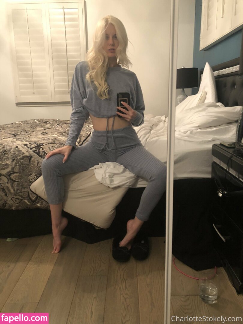 char_stokely leaked nude photo #0058 (char_stokely)