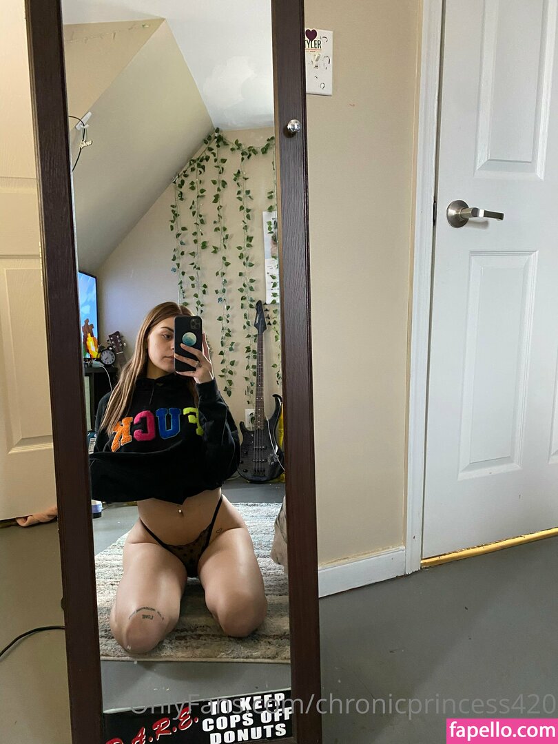 chronicprincess420 leaked nude photo #0005 (chronicprincess420)