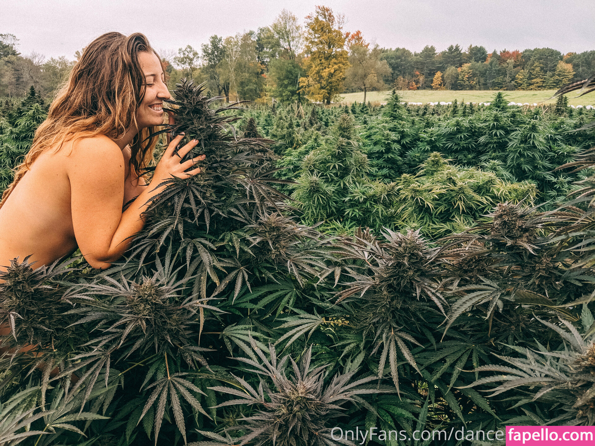 danceincannabis leaked nude photo #0012 (danceincannabis)