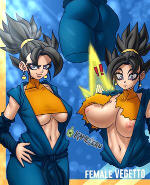 Dragon Ball Z nude #0563