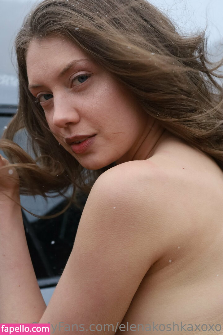 Elena Koshka leaked nude photo #0304 (Elena Koshka / elenakoshkaxoxo / therealelenakoshka)