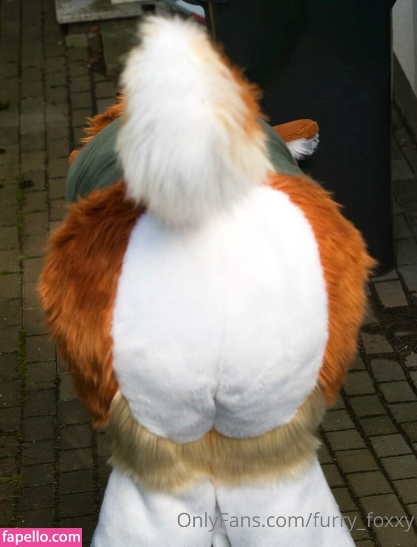 furry_foxxy leaked nude photo #0038 (furry_foxxy / fluffy_axofox)