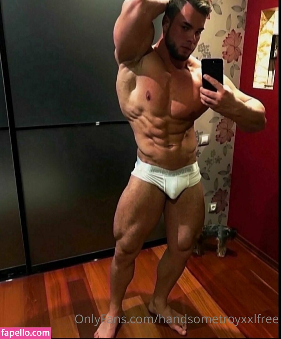 handsometroyxxlfree leaked nude photo #0005 (handsometroyxxlfree)