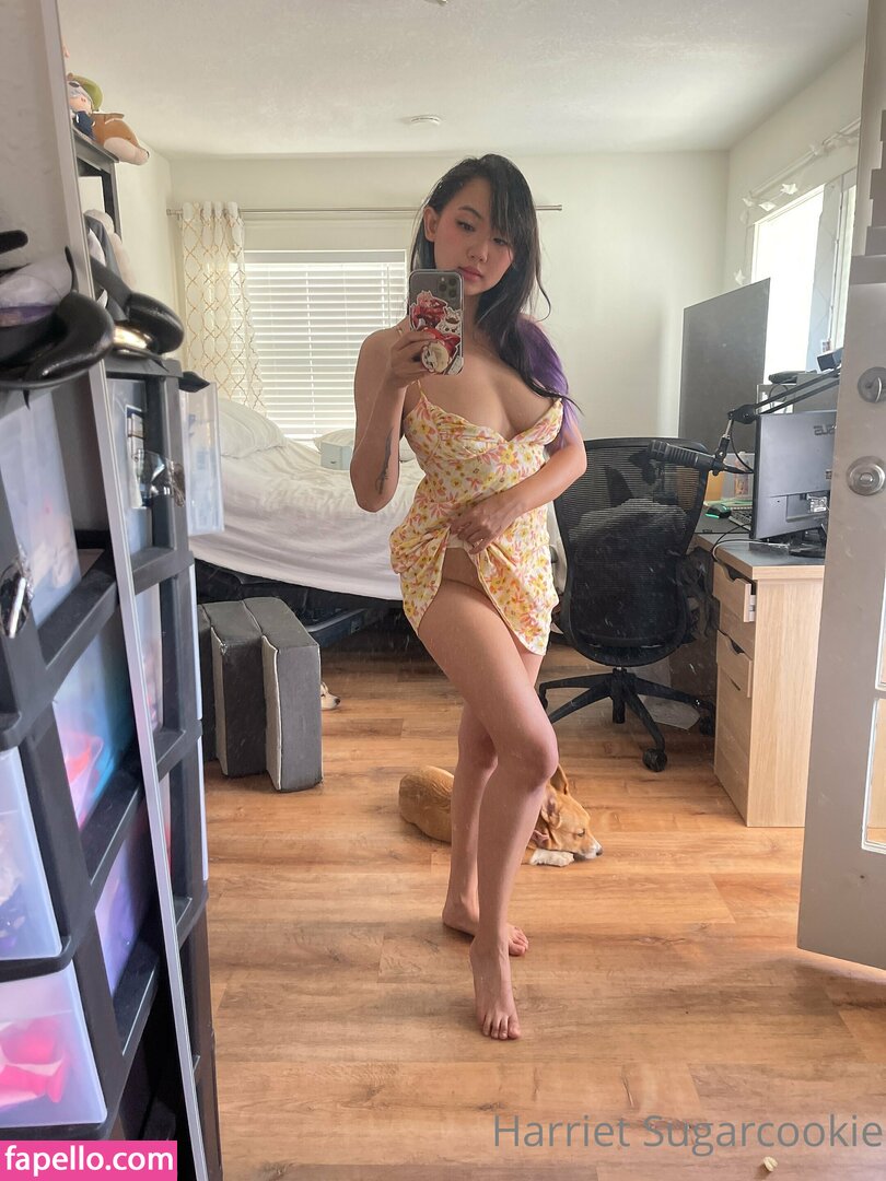 Harriet Sugarcookie leaked nude photo #0175 (Harriet Sugarcookie / harrietsugarcookie / hsugarcookie / iamharrietsugarcookie)