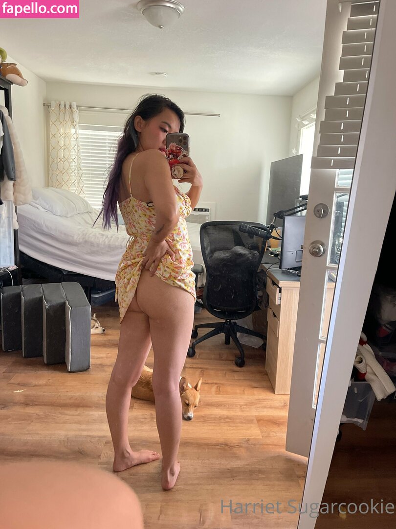 Harriet Sugarcookie leaked nude photo #0197 (Harriet Sugarcookie / harrietsugarcookie / hsugarcookie / iamharrietsugarcookie)