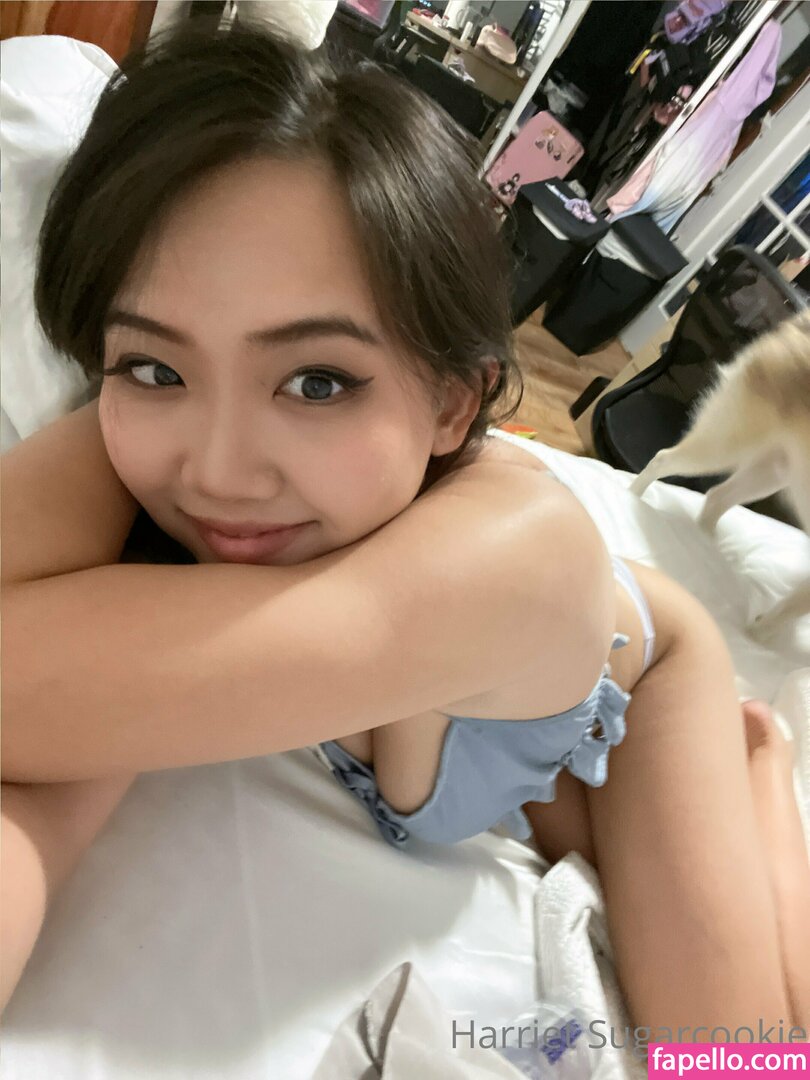 Harriet Sugarcookie leaked nude photo #0257 (Harriet Sugarcookie / harrietsugarcookie / hsugarcookie / iamharrietsugarcookie)