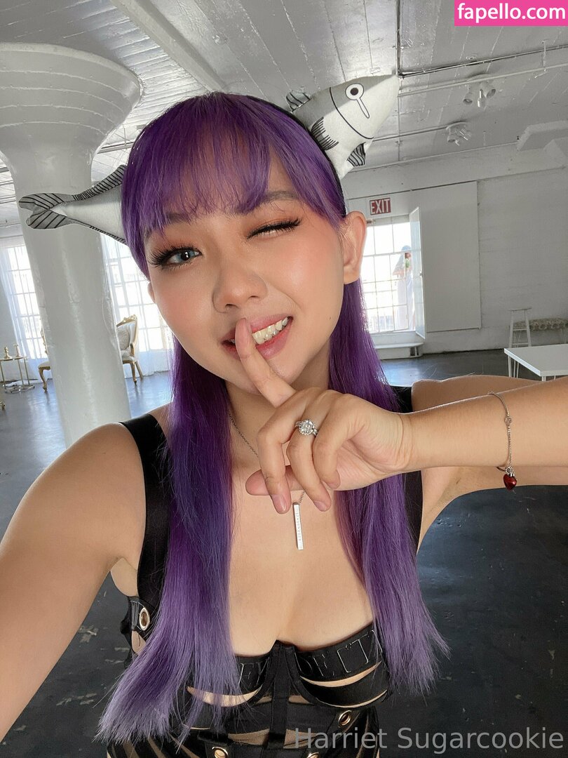 Harriet Sugarcookie leaked nude photo #0290 (Harriet Sugarcookie / harrietsugarcookie / hsugarcookie / iamharrietsugarcookie)