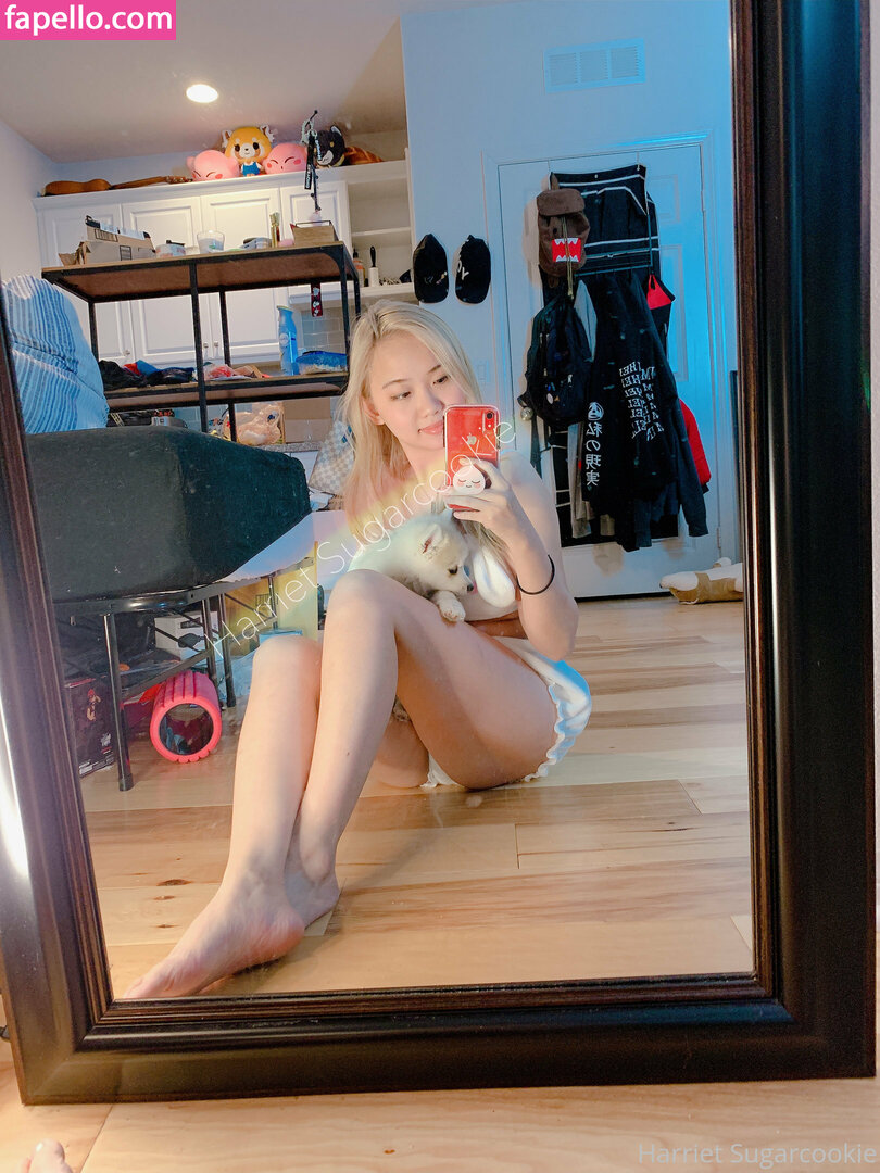 Harriet Sugarcookie leaked nude photo #0342 (Harriet Sugarcookie / harrietsugarcookie / hsugarcookie / iamharrietsugarcookie)