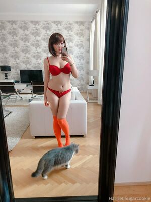 Harriet Sugarcookie nude #0362