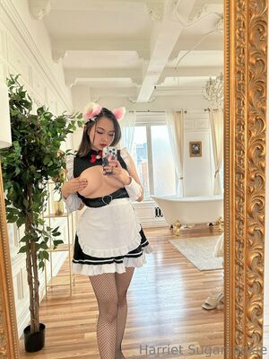 Harriet Sugarcookie nude #0469