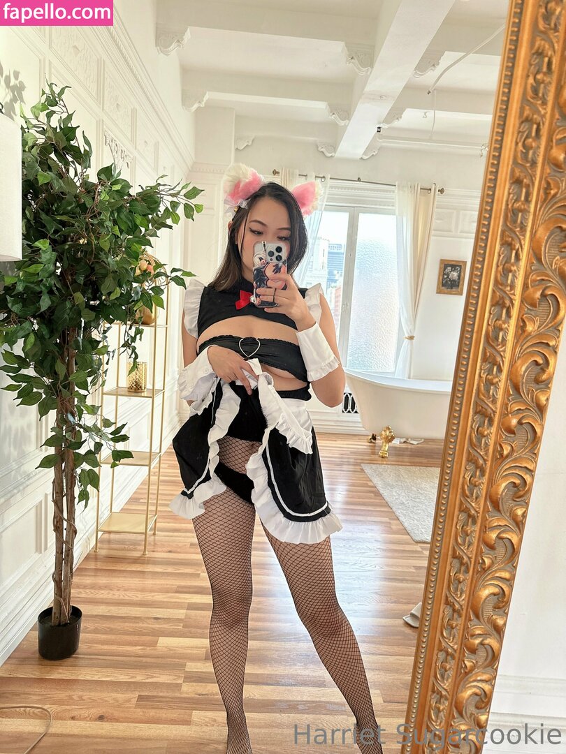 Harriet Sugarcookie leaked nude photo #0472 (Harriet Sugarcookie / harrietsugarcookie / hsugarcookie / iamharrietsugarcookie)