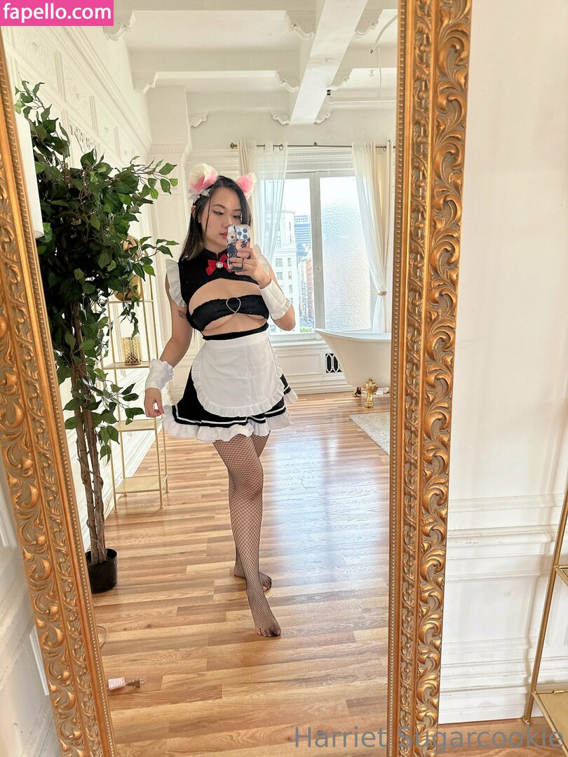 Harriet Sugarcookie leaked nude photo #0477 (Harriet Sugarcookie / harrietsugarcookie / hsugarcookie / iamharrietsugarcookie)