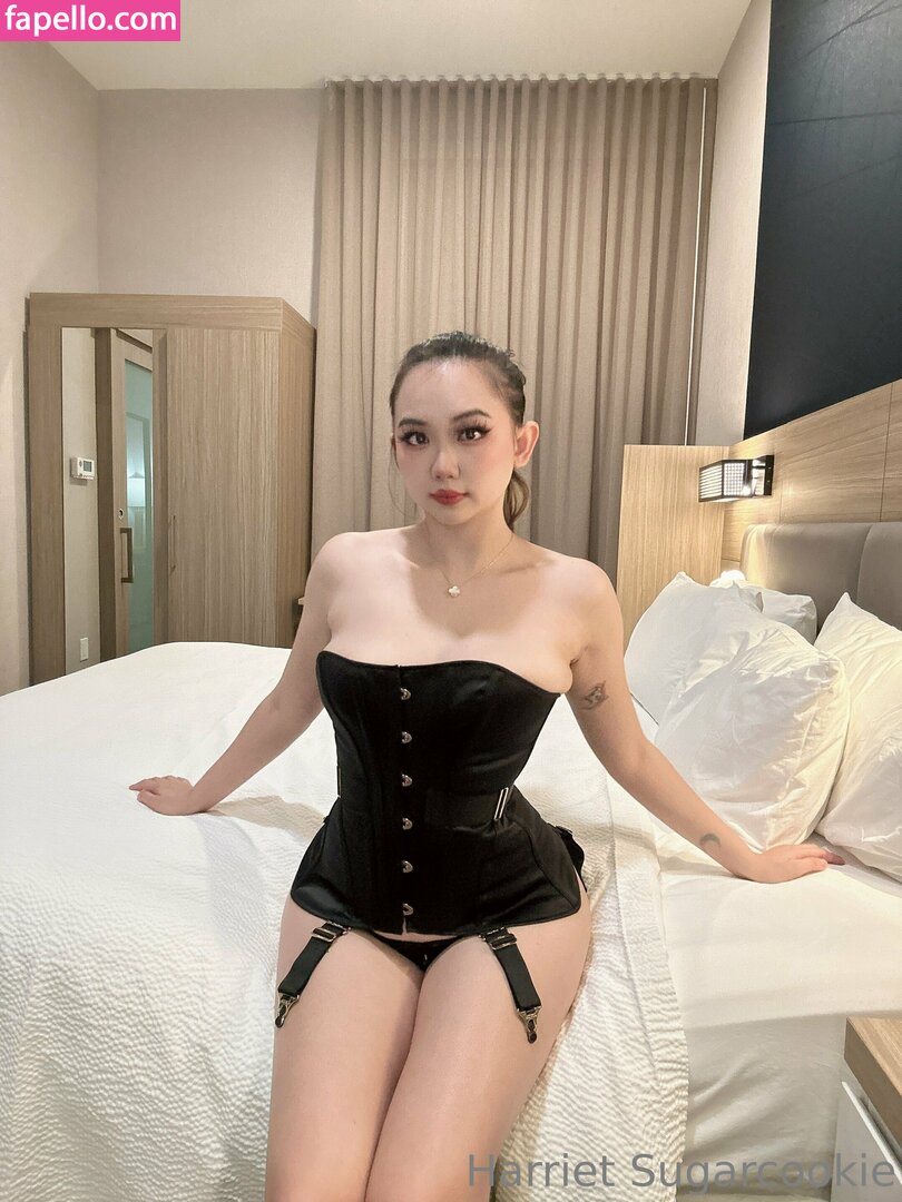 harrietsugarcookie leaked nude photo #0124 (harrietsugarcookie / hsugarcookie / iamharrietsugarcookie)