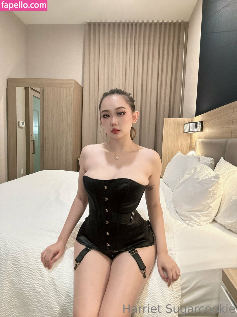 harrietsugarcookie leaked nude photo #0130 (harrietsugarcookie / hsugarcookie / iamharrietsugarcookie)