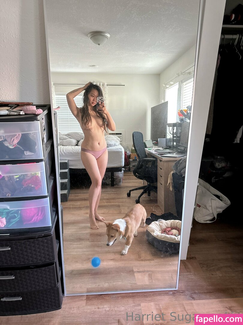 harrietsugarcookie leaked nude photo #0136 (harrietsugarcookie / hsugarcookie / iamharrietsugarcookie)