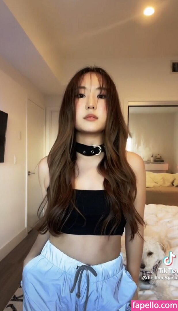 hellomeganlee leaked nude photo #0015 (hellomeganlee)