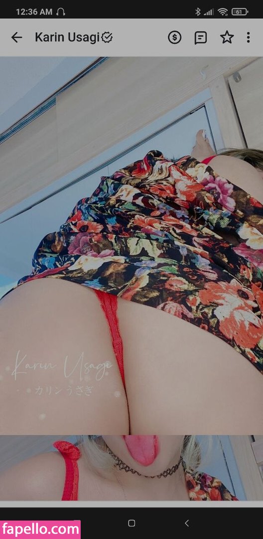 Karin Usagi leaked nude photo #0009 (Karin Usagi / karin_usagi / karinusagi)