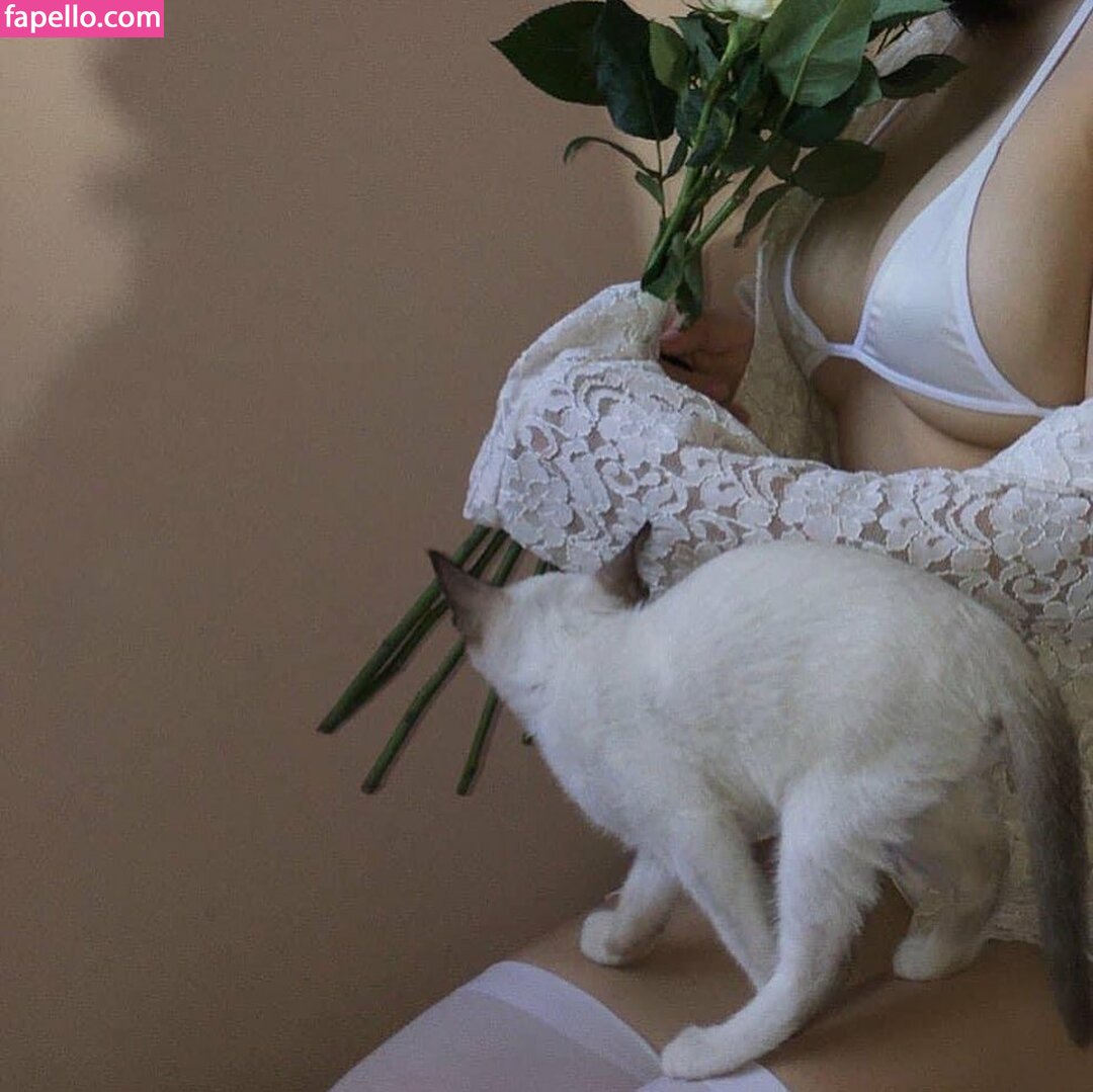 kewlercat leaked nude photo #0035 (kewlercat / Kewlercats / kewlercatsfoto / nhớ)