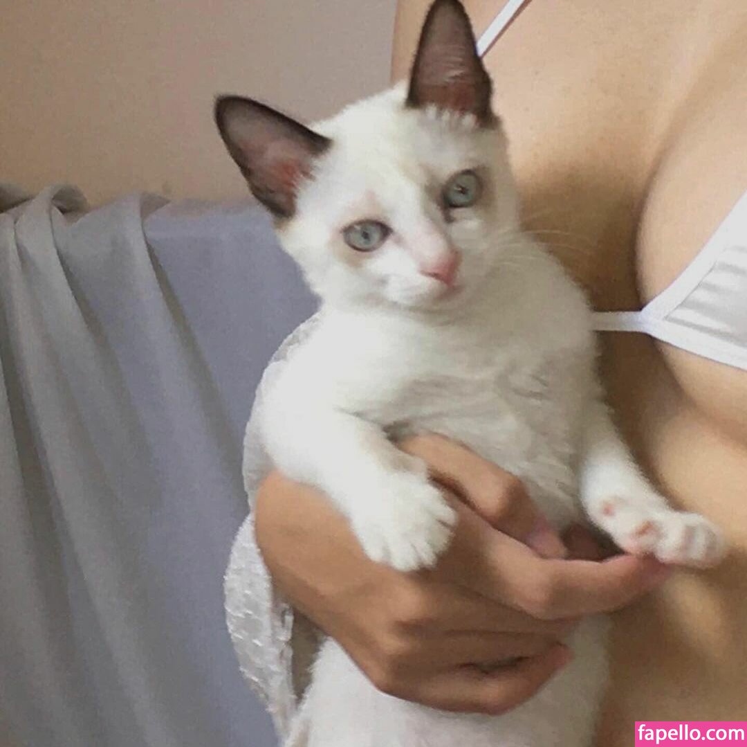 kewlercat leaked nude photo #0036 (kewlercat / Kewlercats / kewlercatsfoto / nhớ)