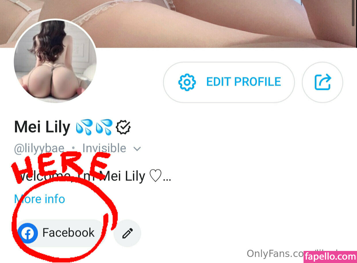 lilyybae leaked nude photo #0041 (lilyybae)