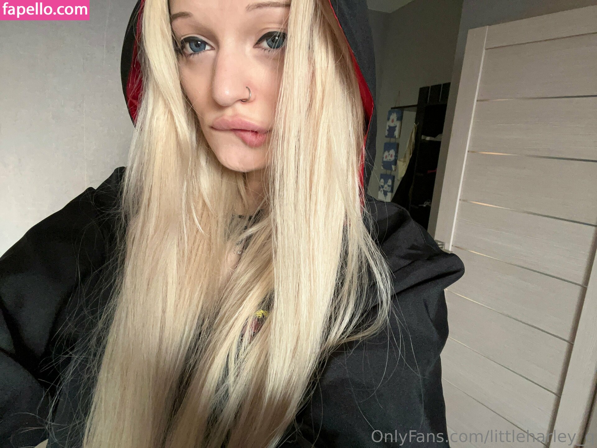 littleharley_q leaked nude photo #0211 (littleharley_q / little_harley_q)