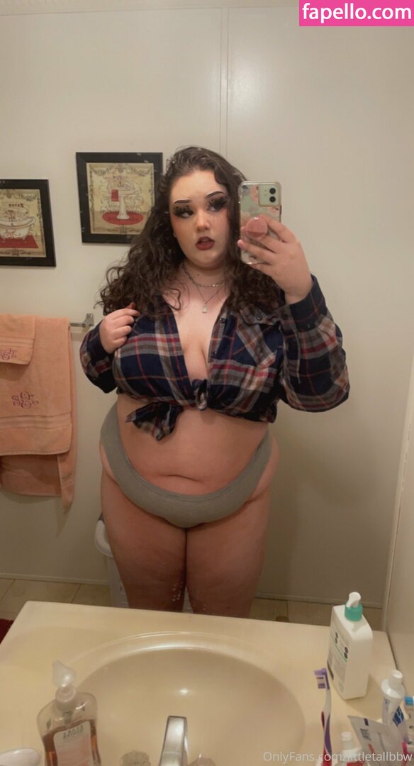 littletallbbw leaked nude photo #0003 (littletallbbw / littlemissbbw005)