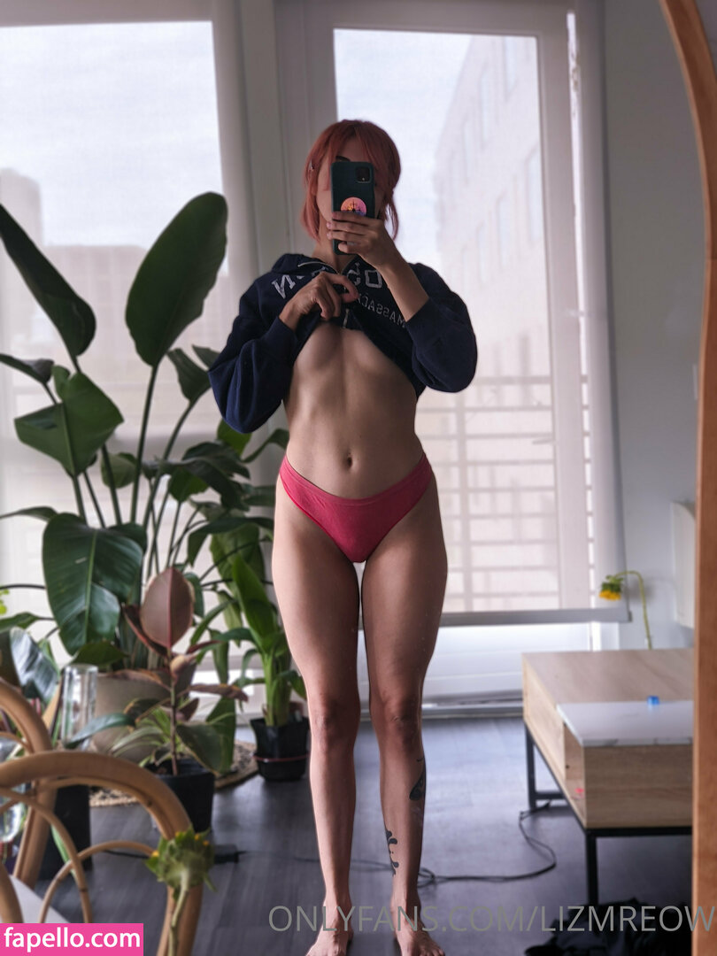 Lizmreow leaked nude photo #0012 (Lizmreow / lizlizmeow)