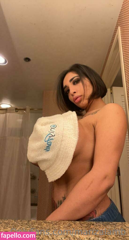 marizalamb leaked nude photo #0051 (marizalamb)