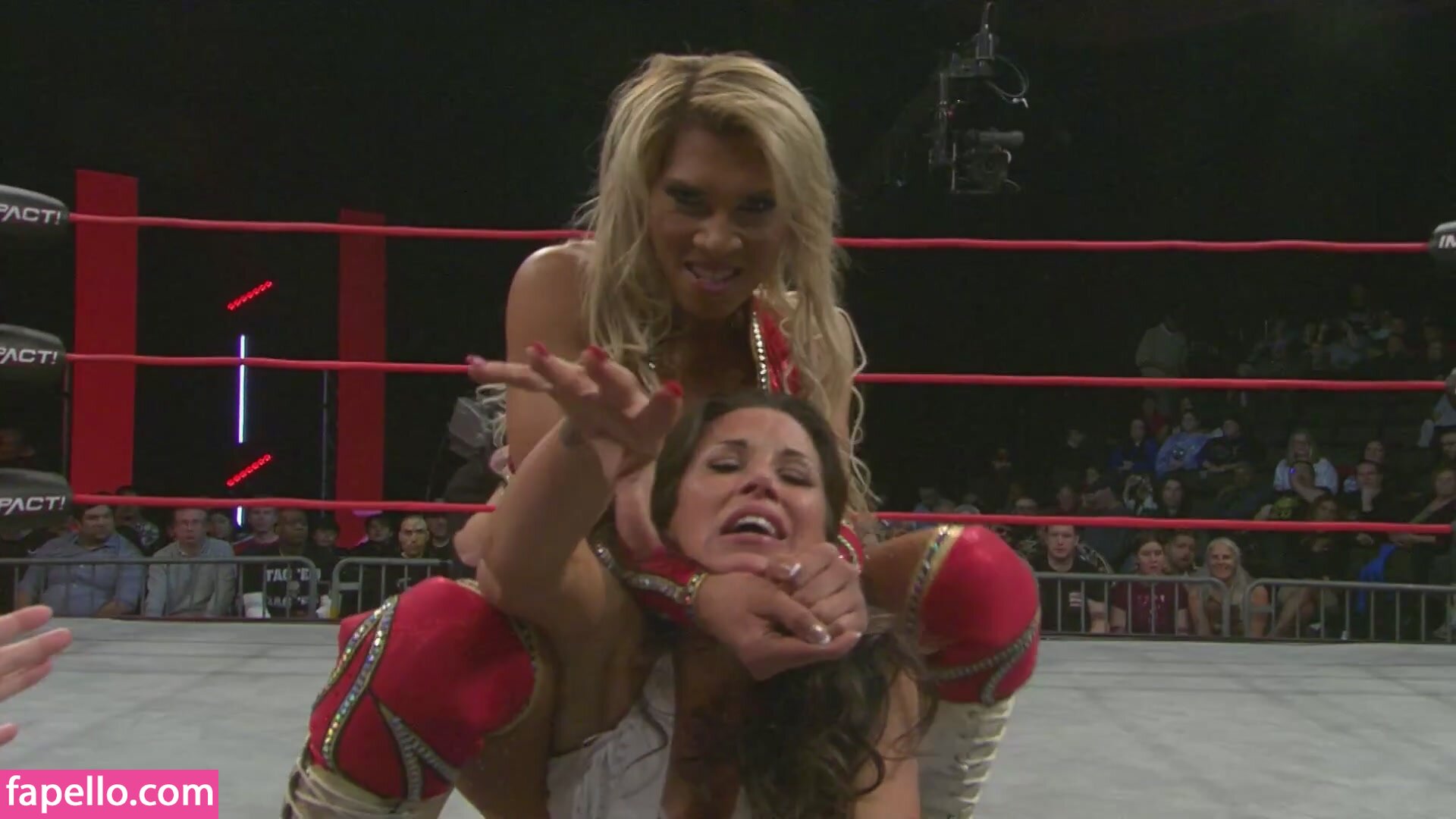 Mickie James leaked nude photo #0707 (Mickie James / michelejames / themickiejames)