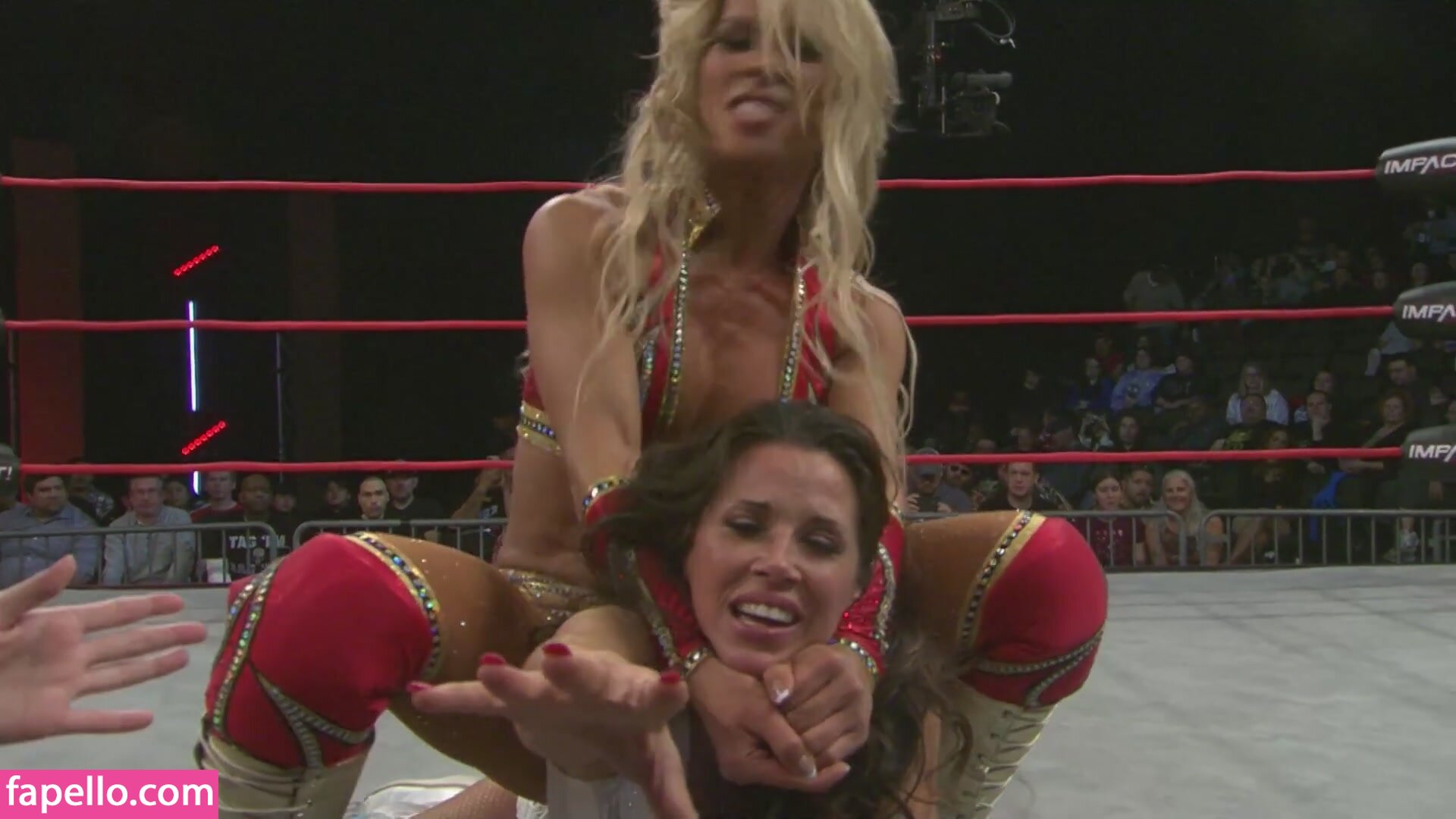 Mickie James leaked nude photo #0710 (Mickie James / michelejames / themickiejames)