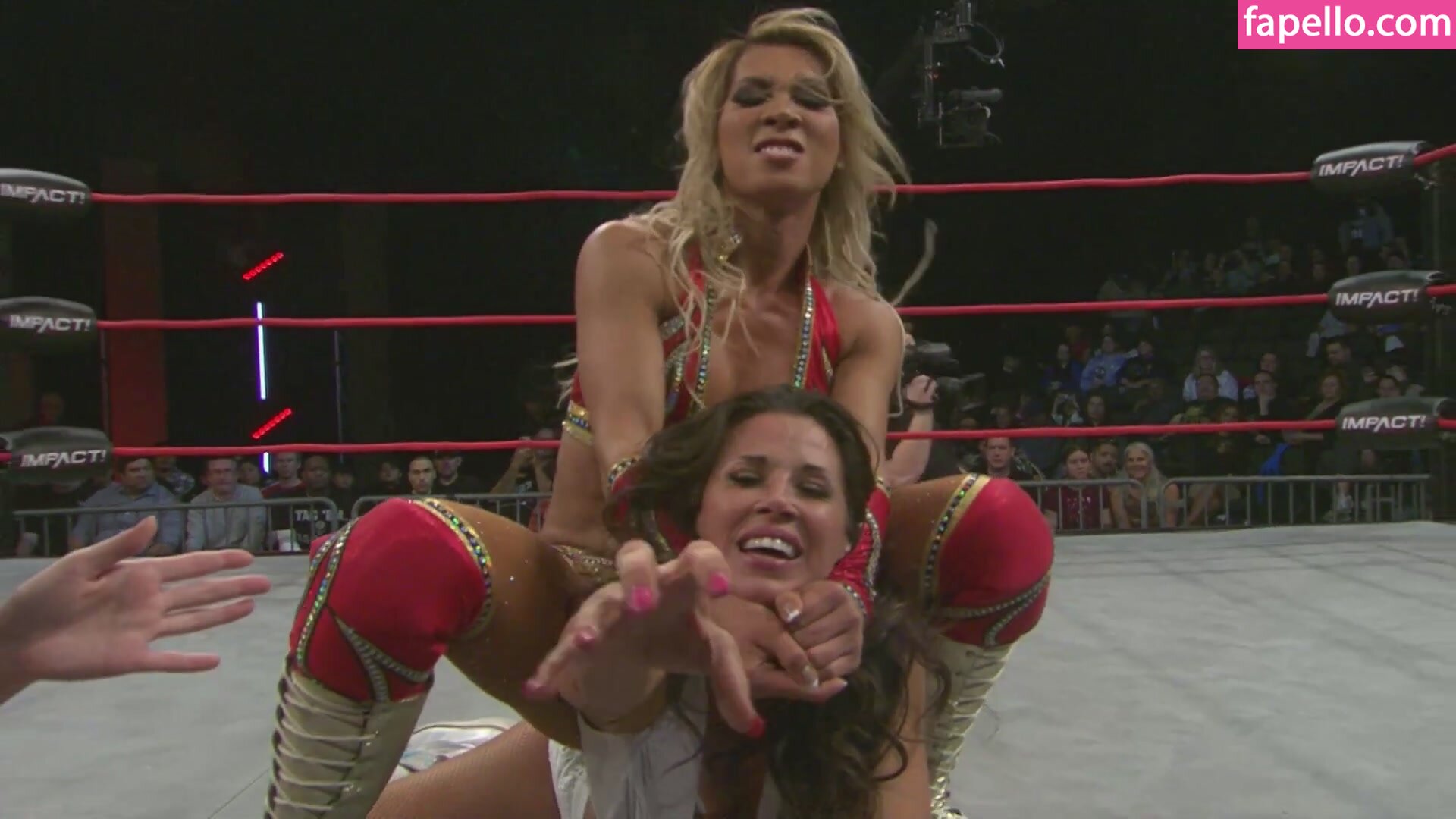 Mickie James leaked nude photo #0711 (Mickie James / michelejames / themickiejames)