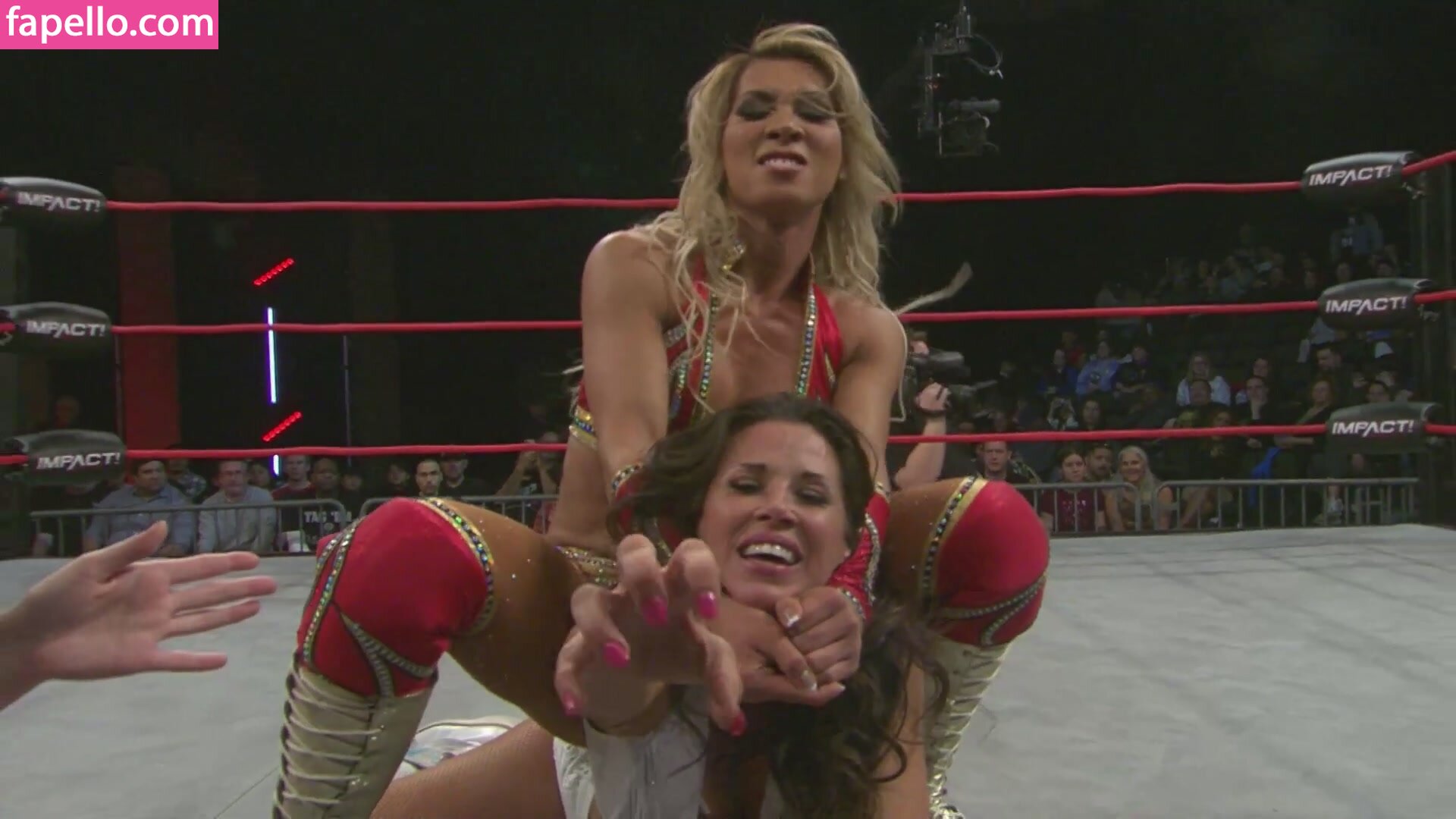 Mickie James leaked nude photo #0712 (Mickie James / michelejames / themickiejames)