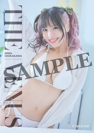 Mina Shirakawa nude #1717