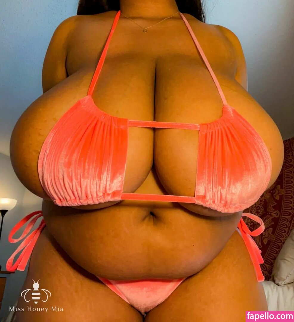 Miss Honey Mia / MissHoneyMia / MissHoney_Mia Nude Leaked OnlyFans Photo  #46 - Fapello