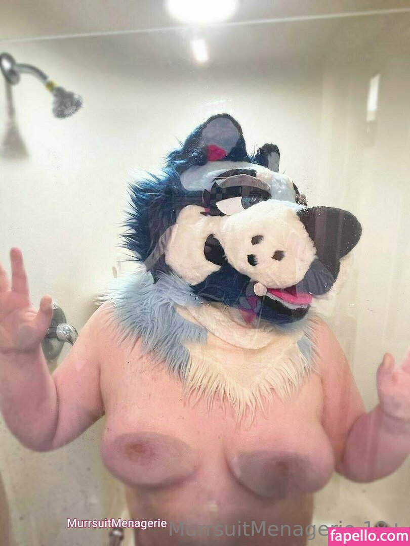 murrsuitmenagerie leaked nude photo #0003 (murrsuitmenagerie / _chausterrrr)