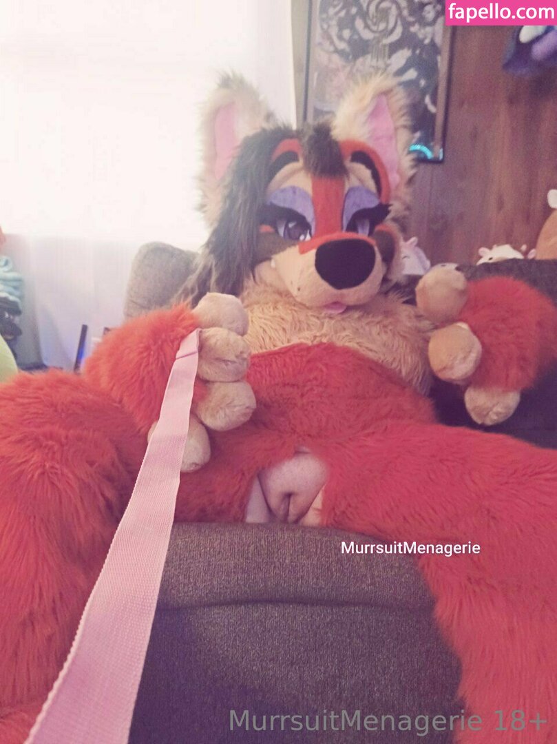 murrsuitmenagerie leaked nude photo #0006 (murrsuitmenagerie / _chausterrrr)