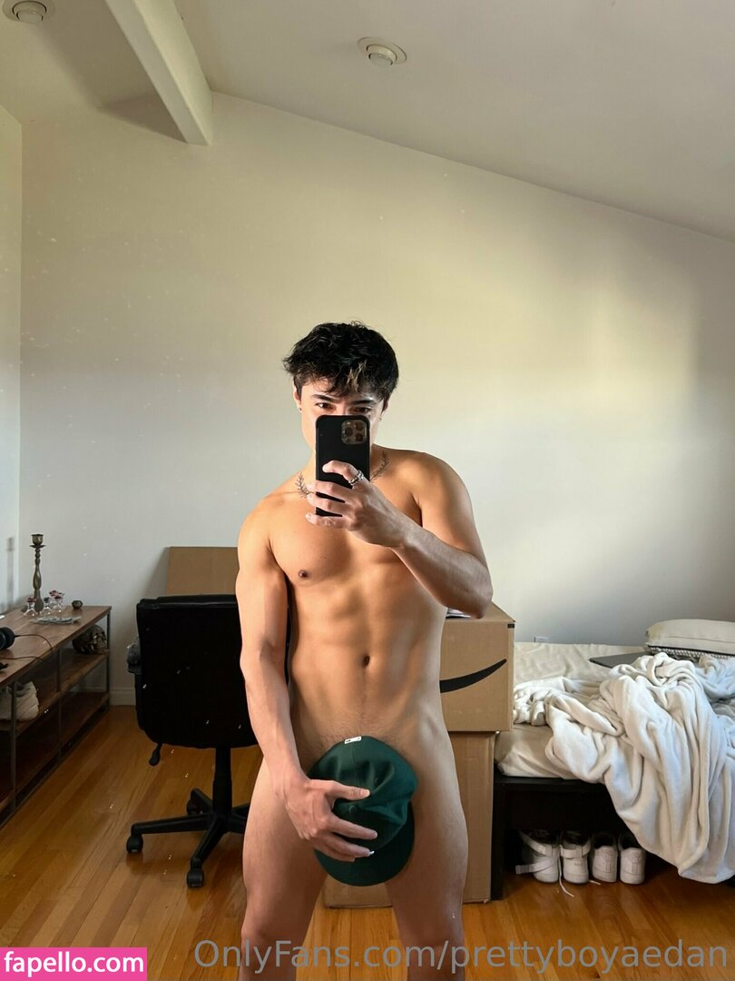 prettyboyaedan leaked nude photo #0107 (prettyboyaedan / prettyboydan__)