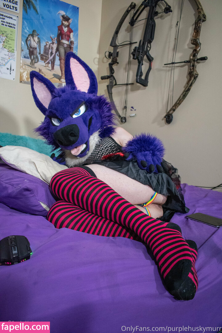 purplehuskymurr leaked nude photo #0019 (purplehuskymurr / purplehusky)