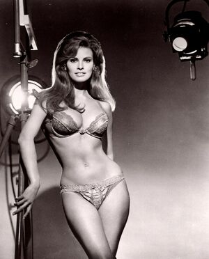 Raquel Welch nude #0065