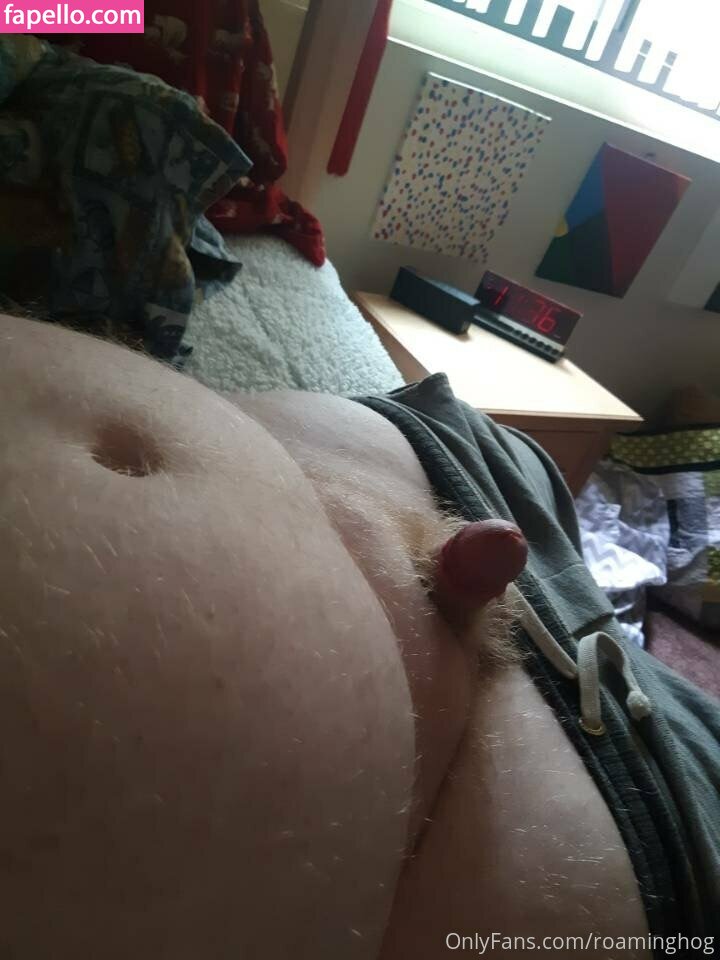 Roaminghog Theroaminghog Nude Leaked OnlyFans Photo 26 Fapello