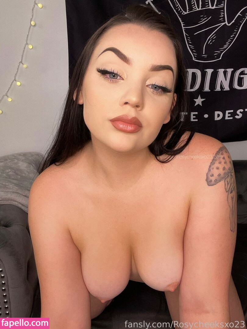 Rosycheeksxo23 leaked nude photo #0018 (Rosycheeksxo23 / rosycheeksxo23_)